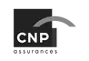 CNP.webp