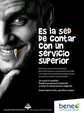 agencia de publicidad más efectiva de chile
