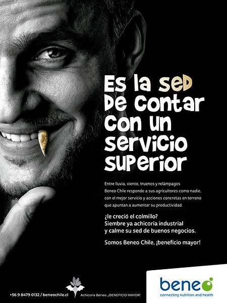 mejor agencia de publicidad en redes sociales