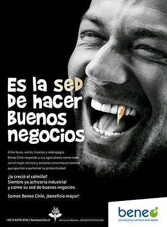 agencia de publicidad más efectiva de chile