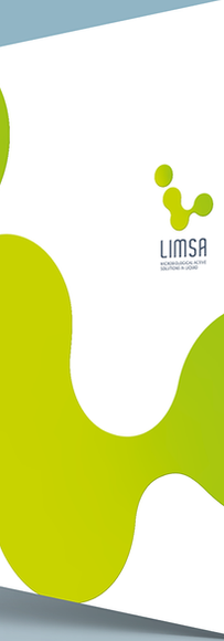 Diseño en Castro Chiloe.png