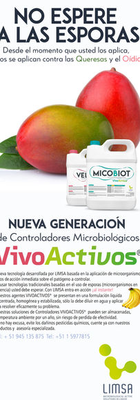 mejor agencia de publicidad en el sur de chile.jpg