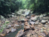 IMG_1429.jpeg