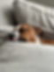 IMG_5582.png