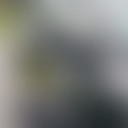 The Epilepsy Community's Thank You Letter To The Uber Team