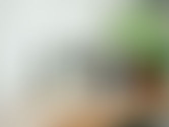 Are Eyelash Primers Worth It?