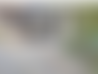 Who we are: Introduction to the blog