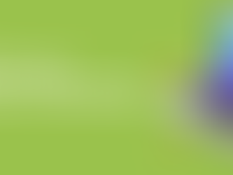 Payment gateway for shopify india