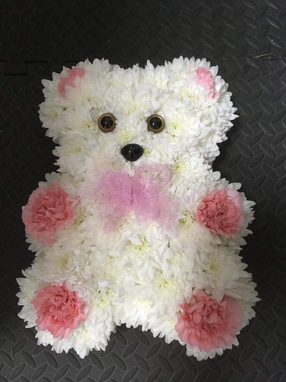 Thumbnail: Small Teddy