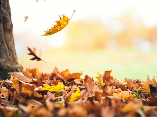 Decay Analysis in Marketing: Knowing When the Shine Wears Off