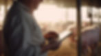 AdobeStock_658054272.jpeg