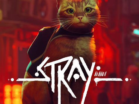 Donasi Dari Penjualan Game Stray Telah Menyelamatkan Banyak Kucing Jalanan