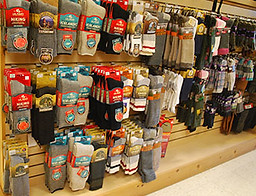 2024 summer socks.jpg