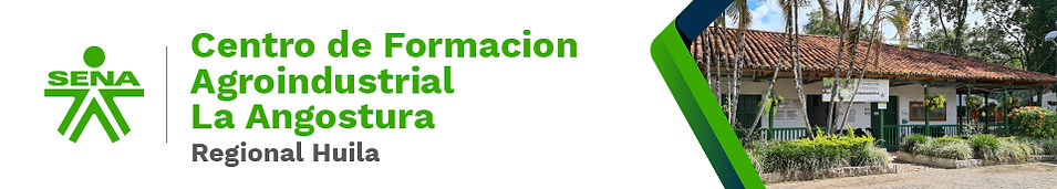 banersenaMesa de trabajo 1-100.jpg