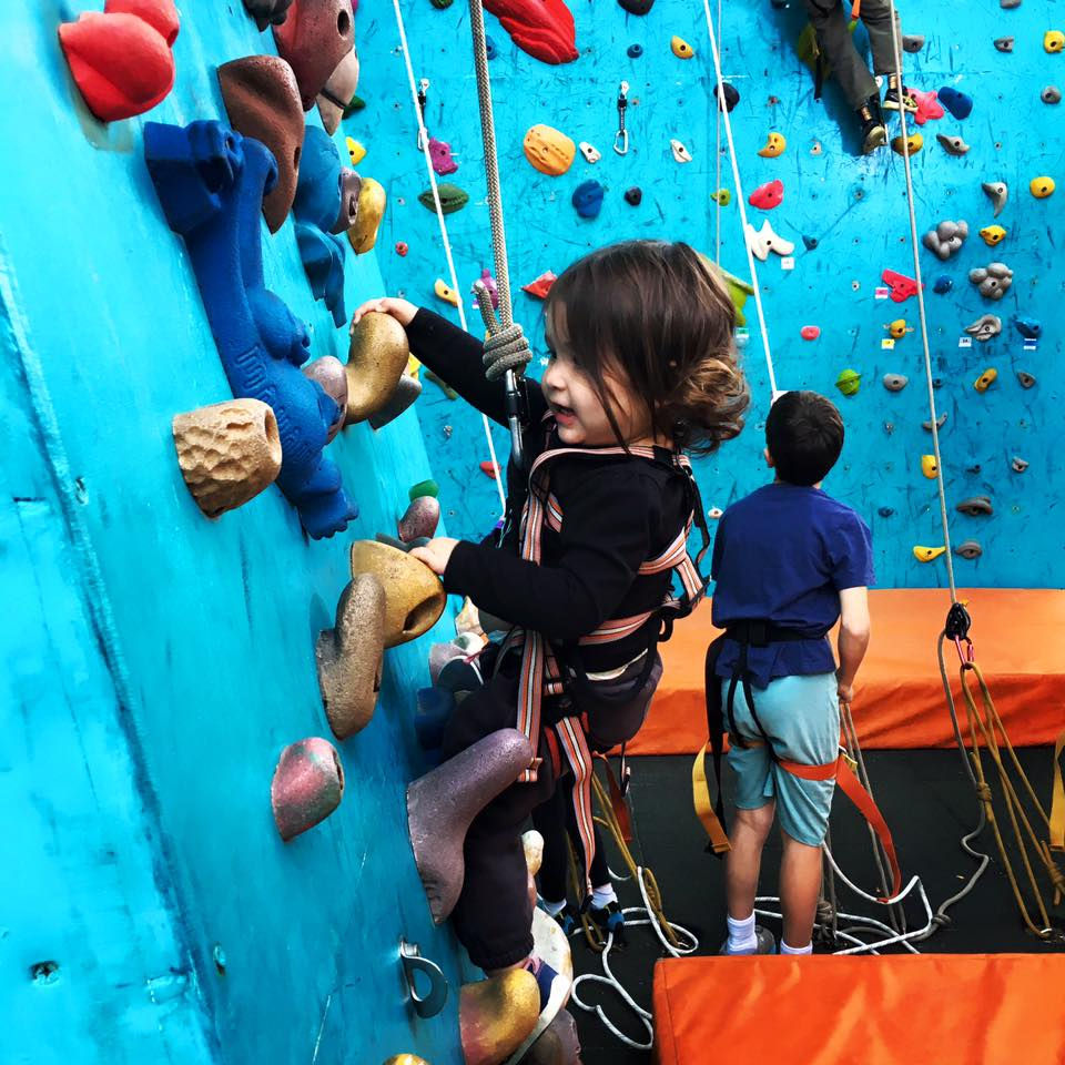 גלריית טיפוס חופשי