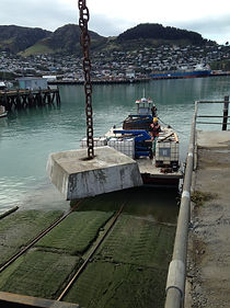 Cargo and Barge work