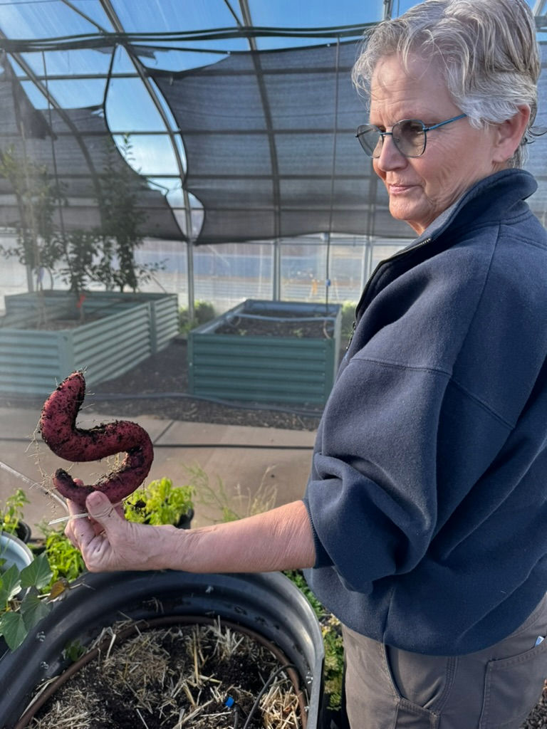 Funny snake shape