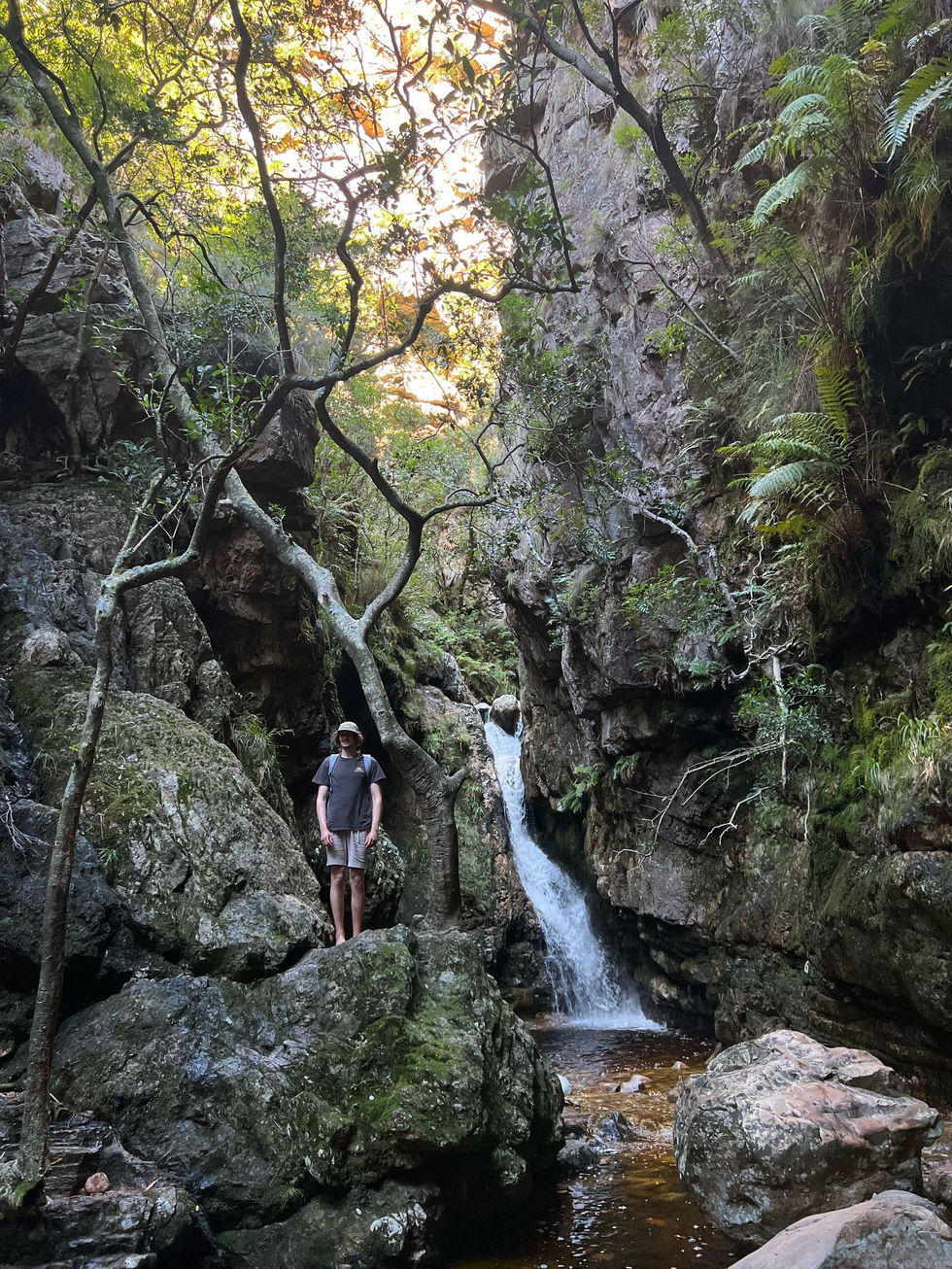 Field Work
