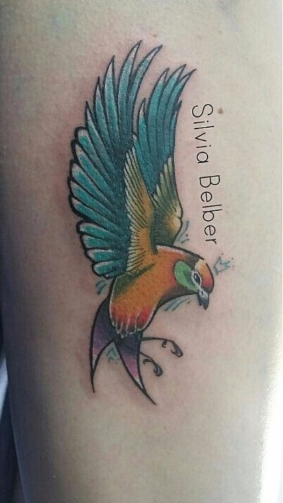 Golondrina / Swallow