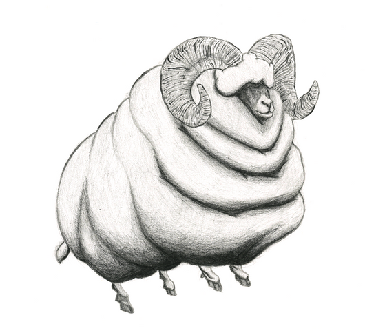 Mr Flufflez
