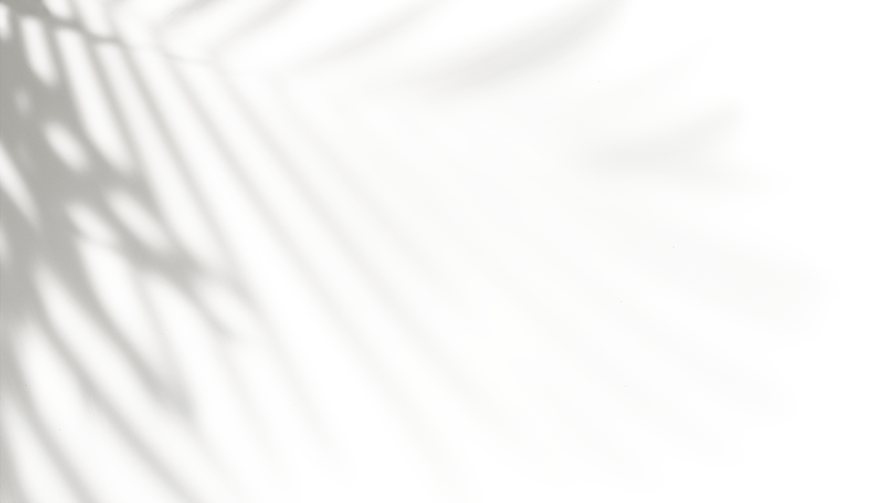 plantshadow.png