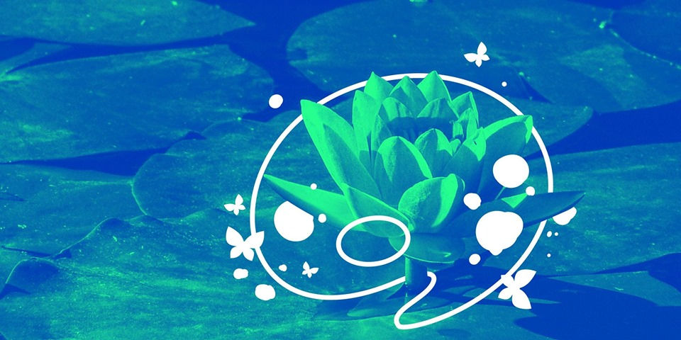 DPO: First Impressions - Music & Monet