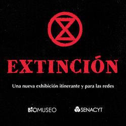 Extinción