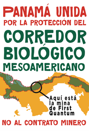 ANTImina - Proyecto Gráfico 