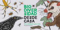 Biodiversidad desde casa