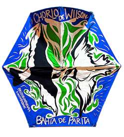Cometa Chorlo de Wilson x Audubon Panamá
