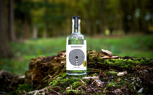 13_GIN.jpg