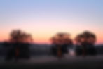 _MG_5010.JPG