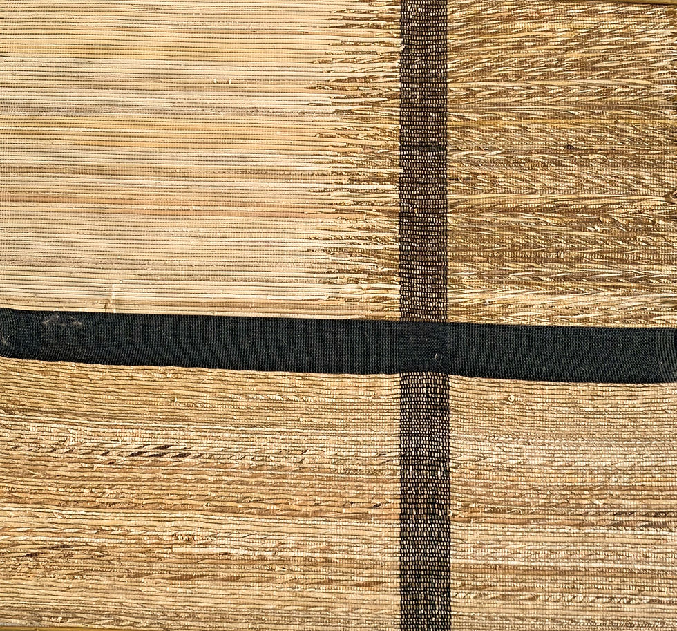 IE-CONT-SHYAMAREKHA-BM/KAPISAH