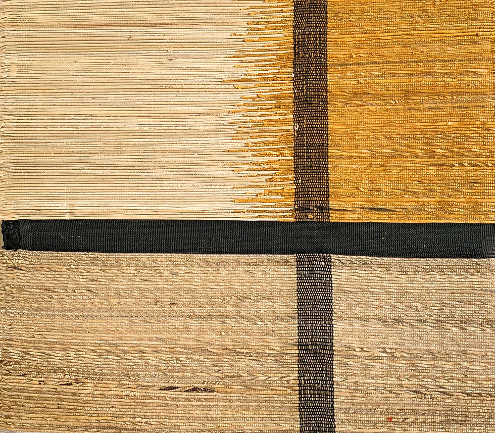 IE-CONT-SHYAMAREKHA-BM/SARISAPA