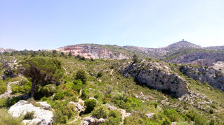 Tautavel