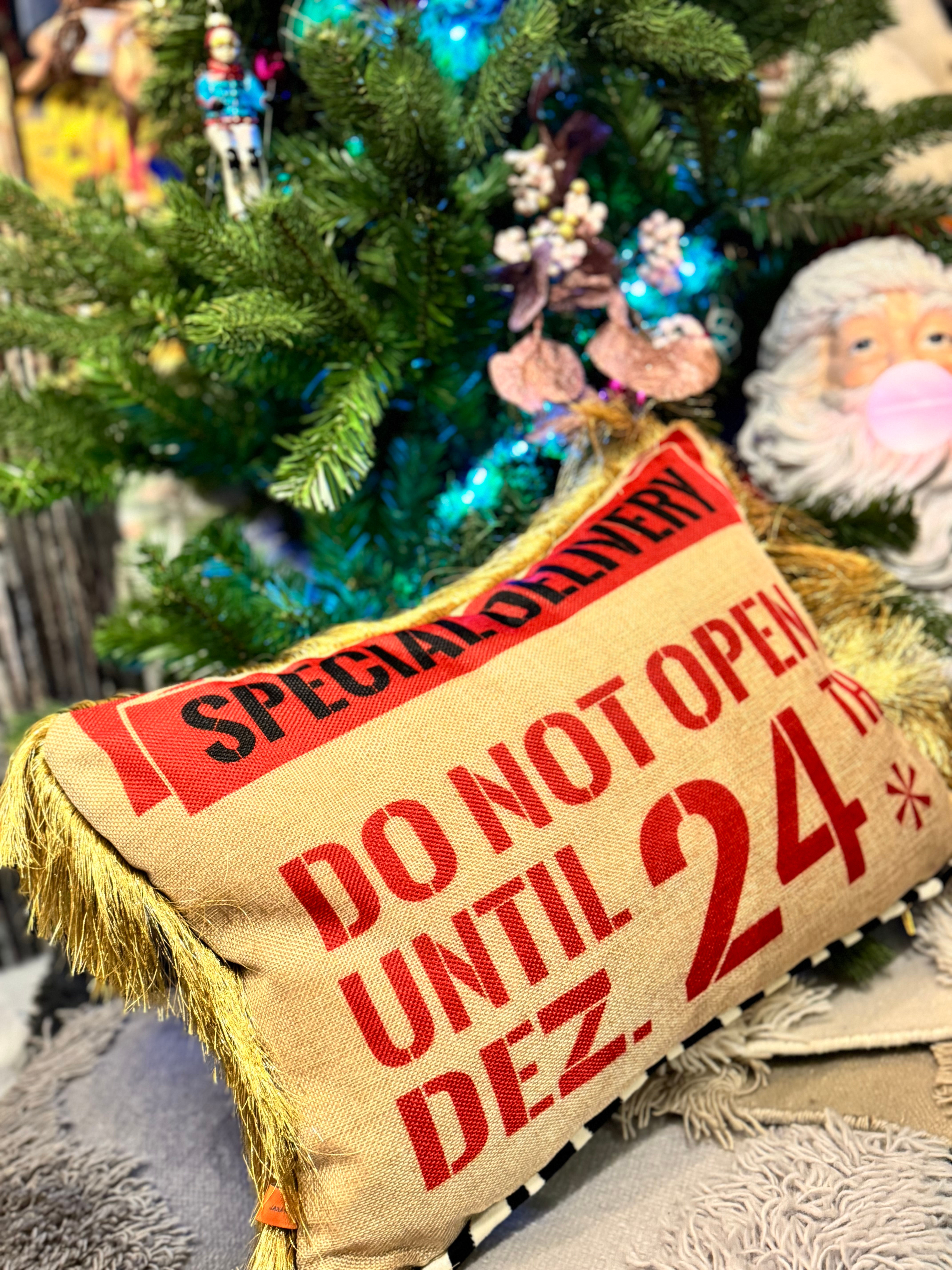 "SPECIAL DELIVERY" KISSEN