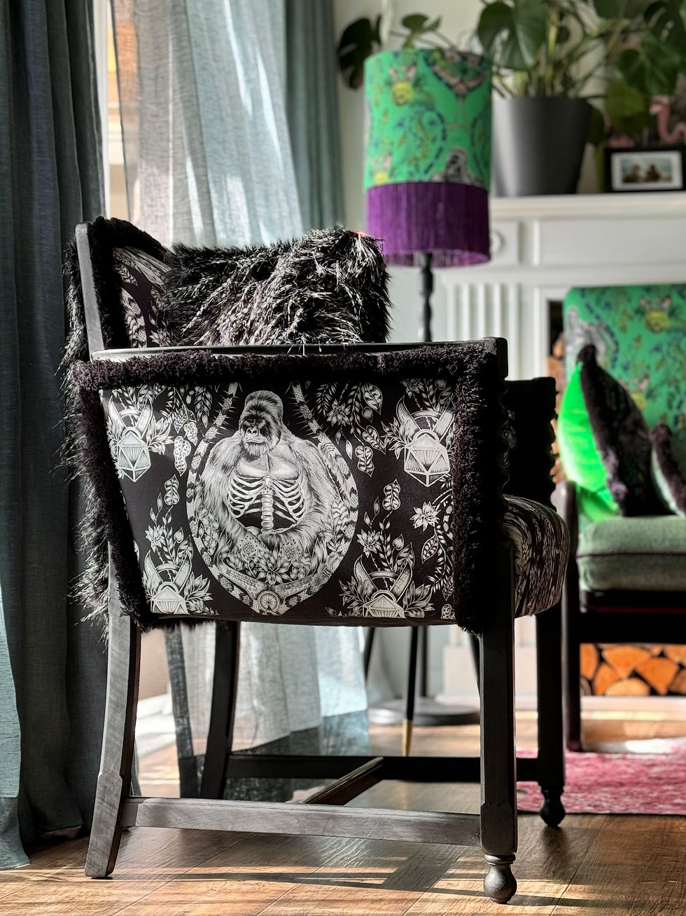 Miniaturbild: SESSEL SILBERRÜCKEN