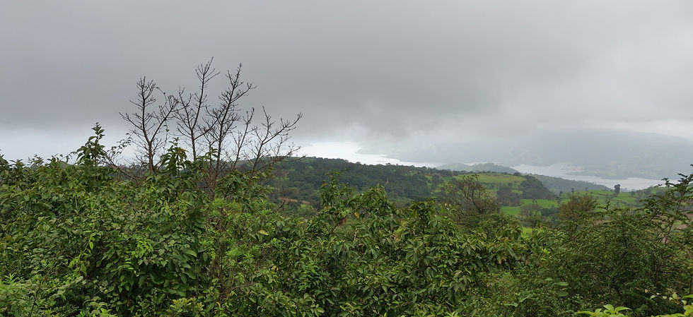 विरहाच्या दुःखातून मुक्त कसे व्हावे?