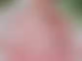 Bridal Embroidery Demand Trends in India