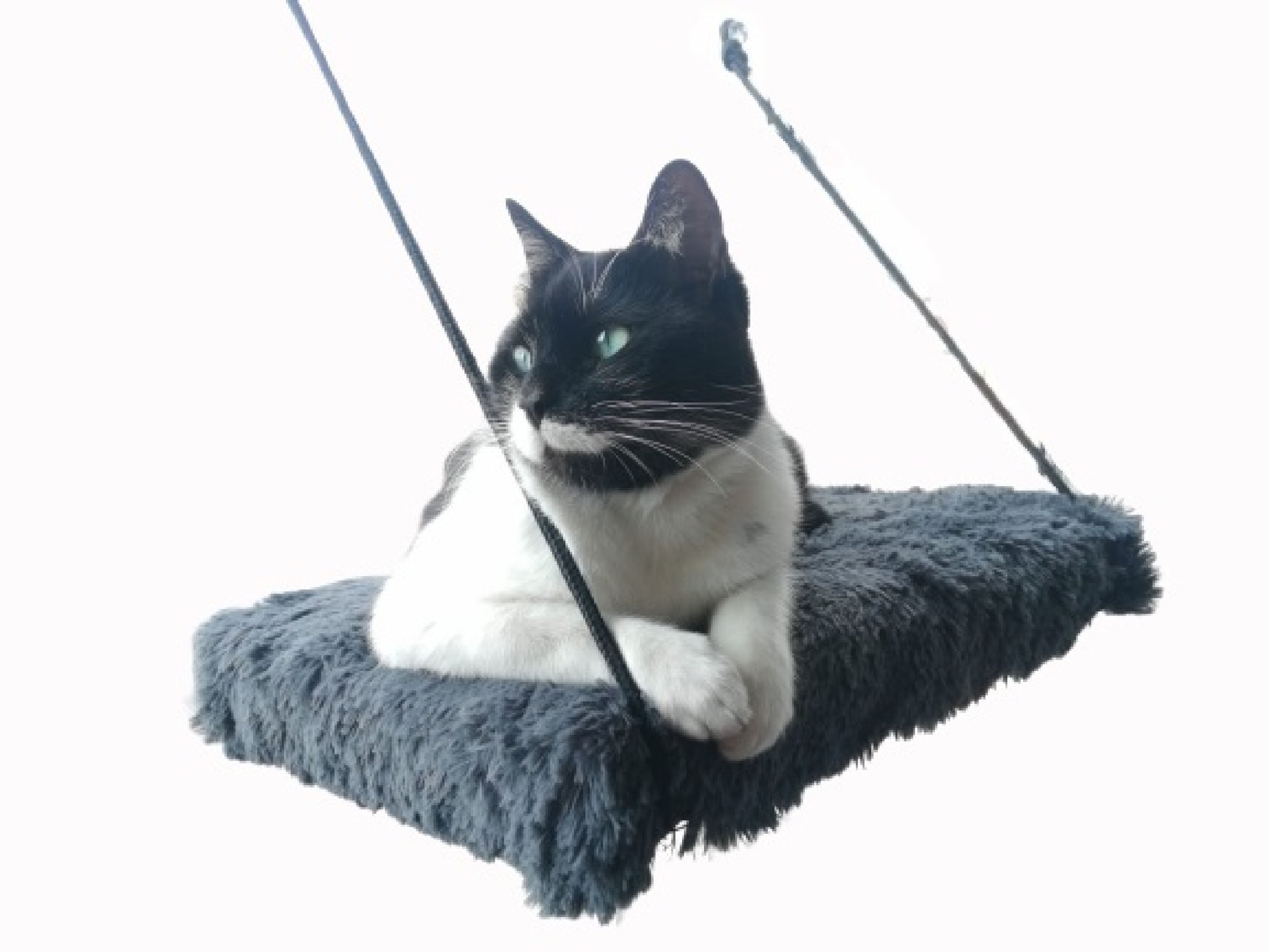 Cama Hamaca Flotante Para Gatos + Rascador