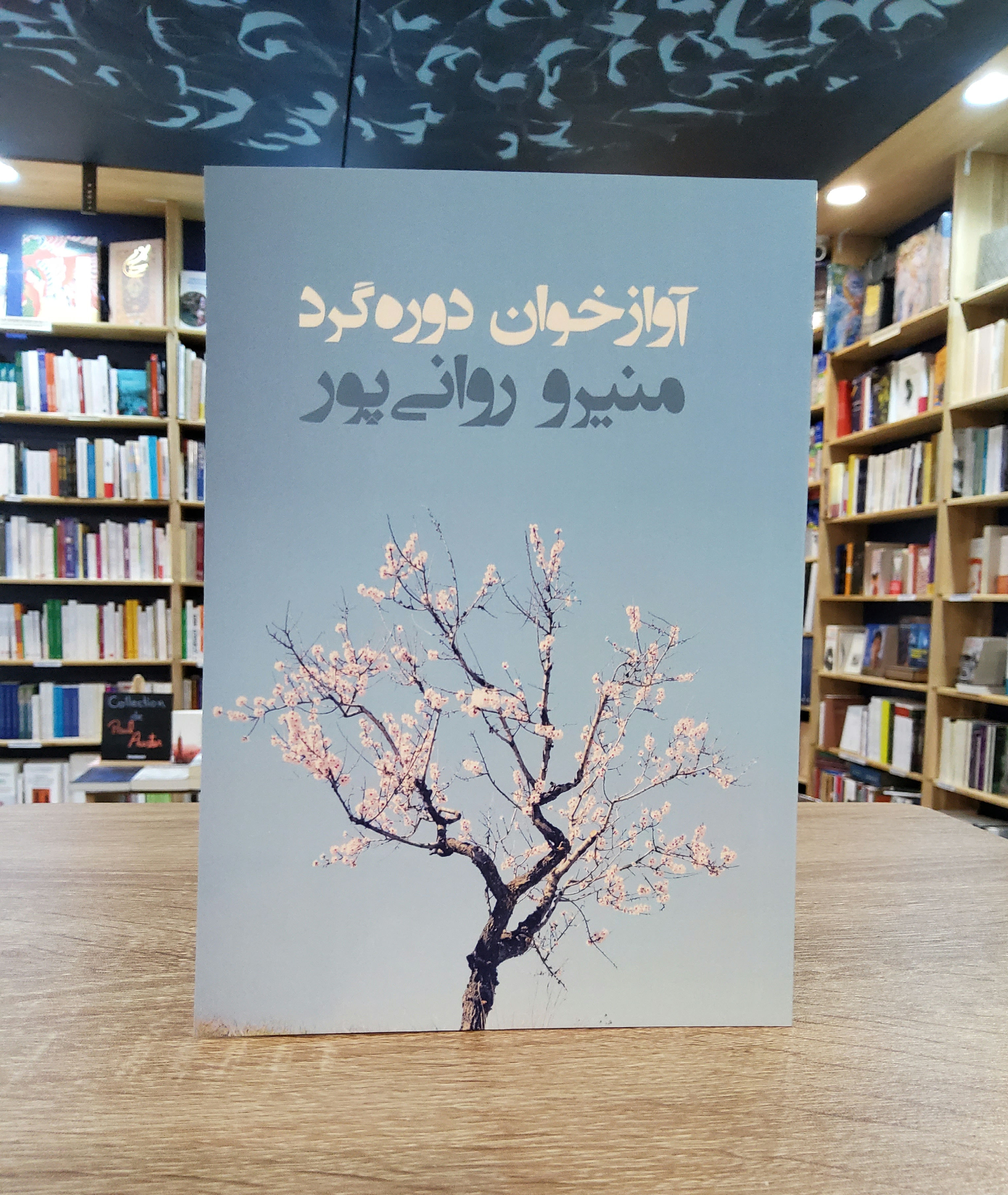 آوازخوان دوره گرد