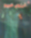 آرزوی-شیپو