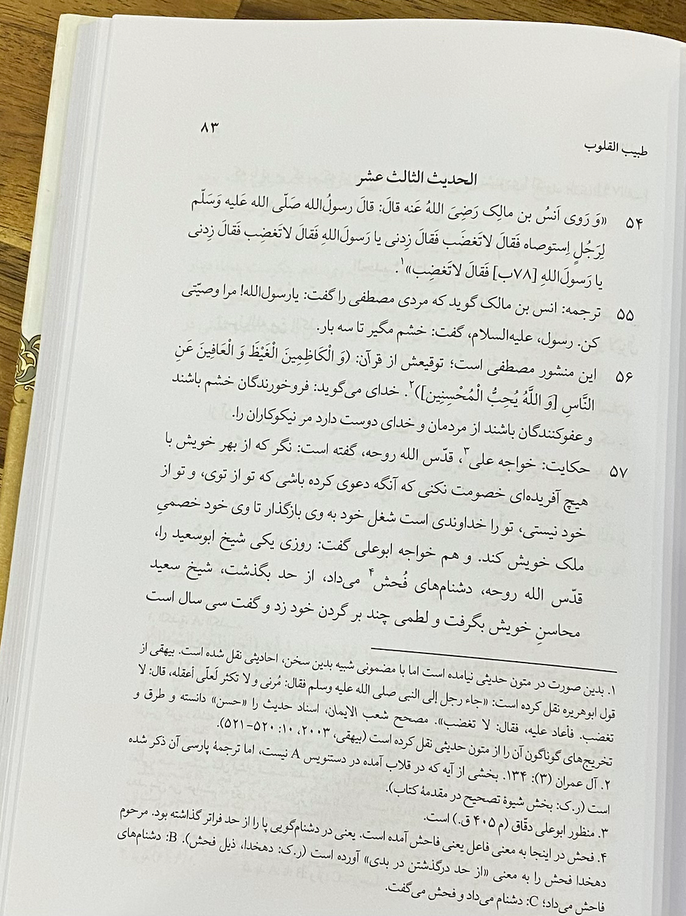 Thumbnail: طبیب القلوب : کهن ترین اربعین حدیثی شناخته شده در زبان فارسی