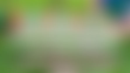 Campanha de arrecadação de tampas e garrafas pets