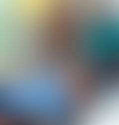 TREINAMENTO BRIGADA 2024