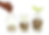 Microloan-for-South-Pacific.png