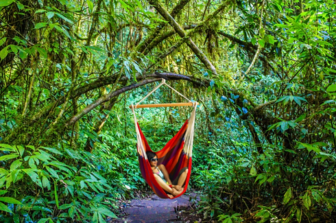 KAWAII BRAZILIAN SWING
