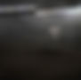 back2.jpg