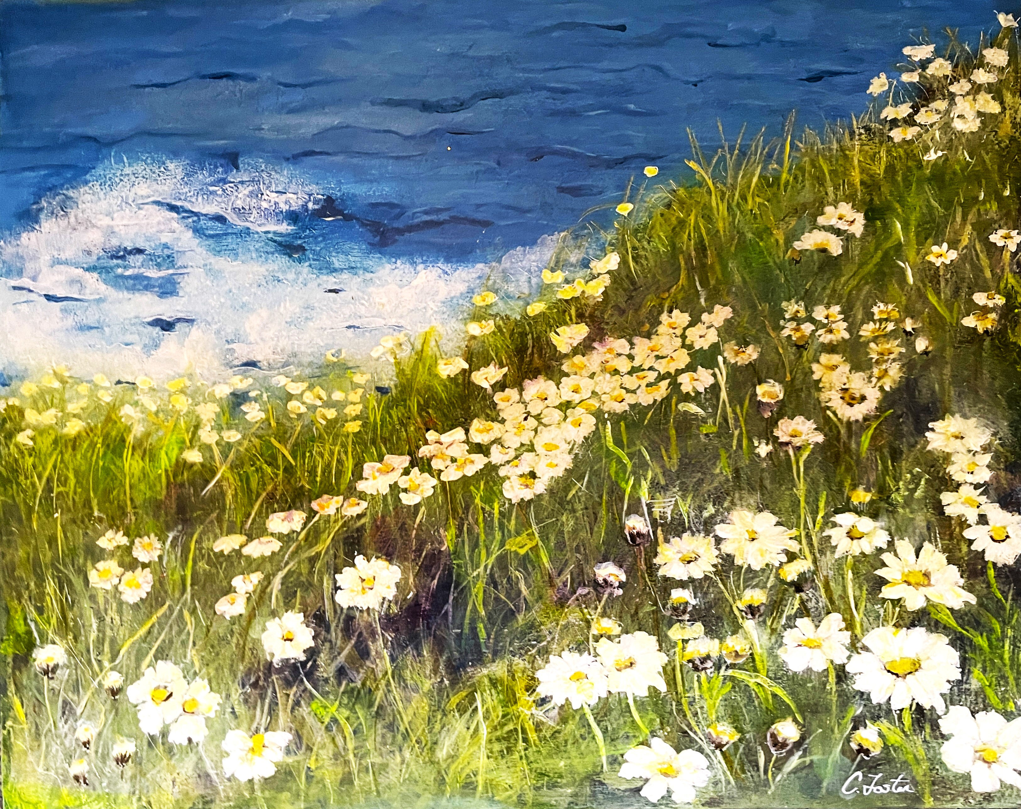 Ox-Eye Daisies (Print)