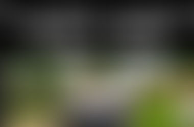 What is the Artistic Version of Whack-a-Mole...